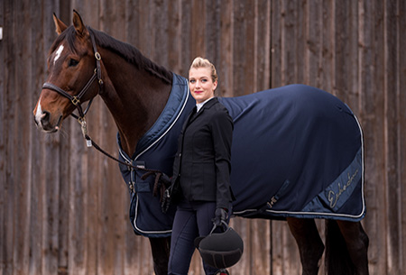 Reiten lernen als Erwachsener - ohne groe Verletzungsgefahr aufs Pferd