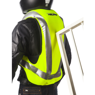 Turtle (1.0) Hi-Vis L