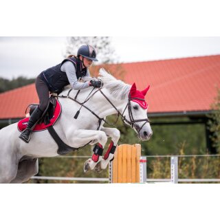 Prestige dunkelblau/rot XS