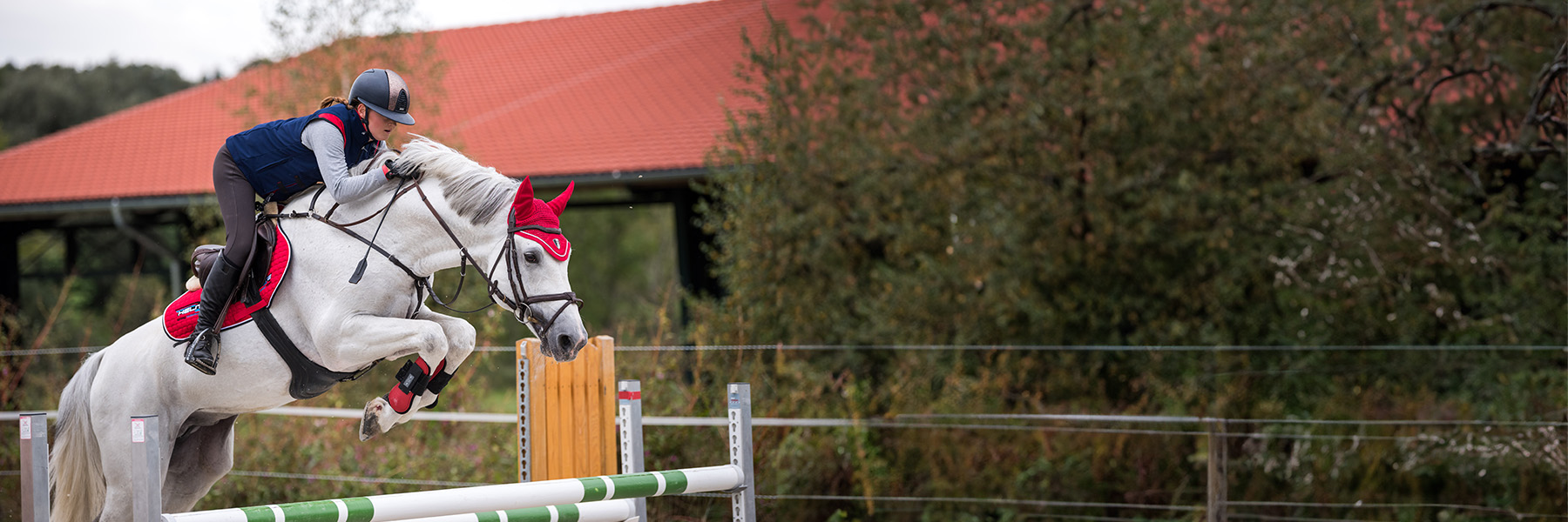 helite-reitsport-springreiten.jpg