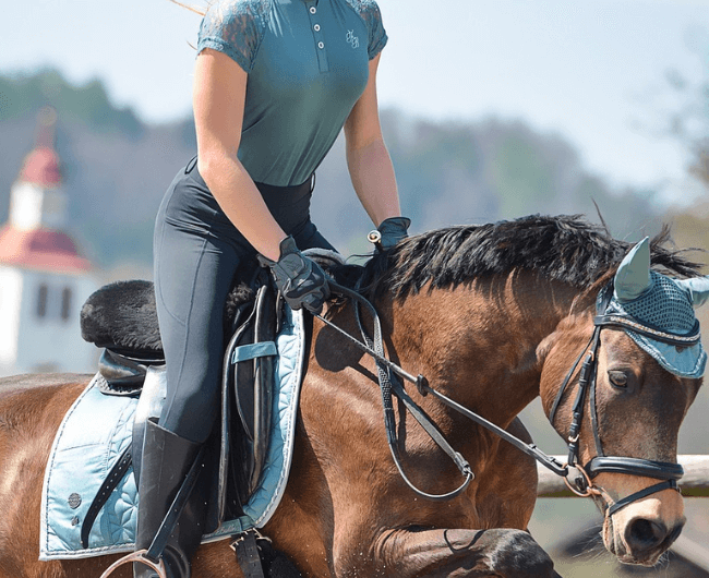 equestrian-6287237_12801.png