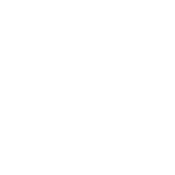 Schutzschild