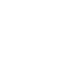 Statistik