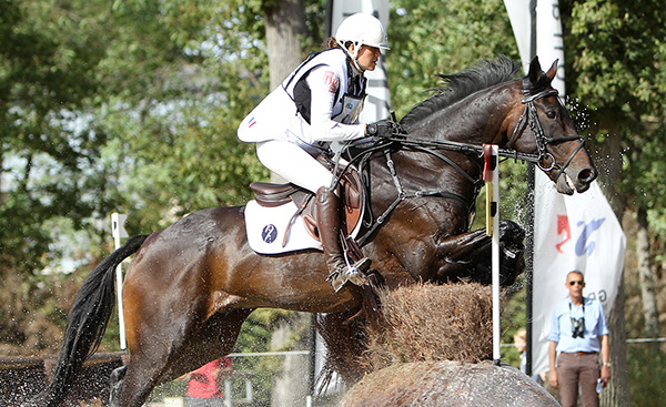 Reitsport - Reiter auf einem Pferd