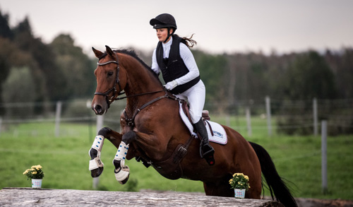 Airbag Weste Reiten im Tierschutz-Laden